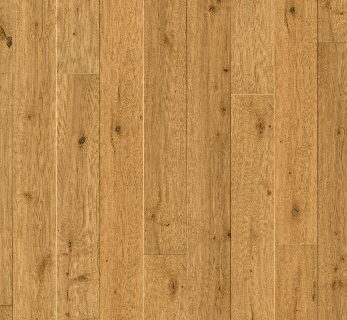 image_2025-10-23_143539420