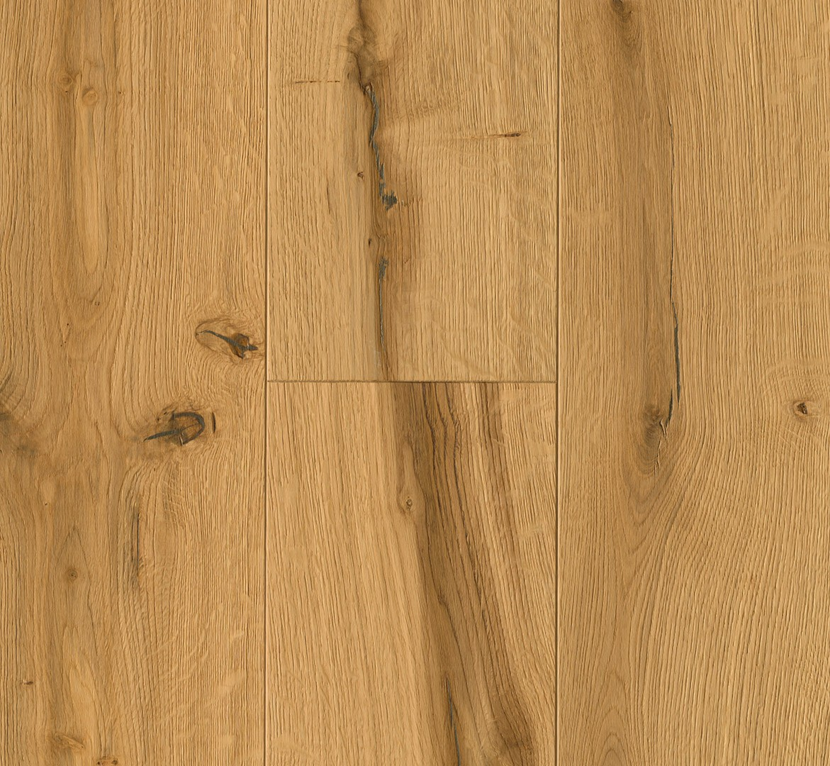 image_2025-10-23_175249422