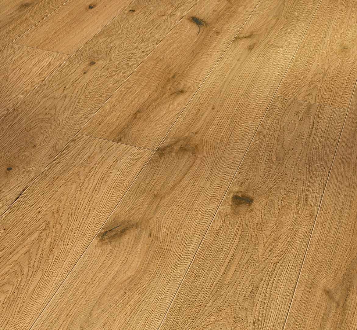 image_2025-10-23_175608121