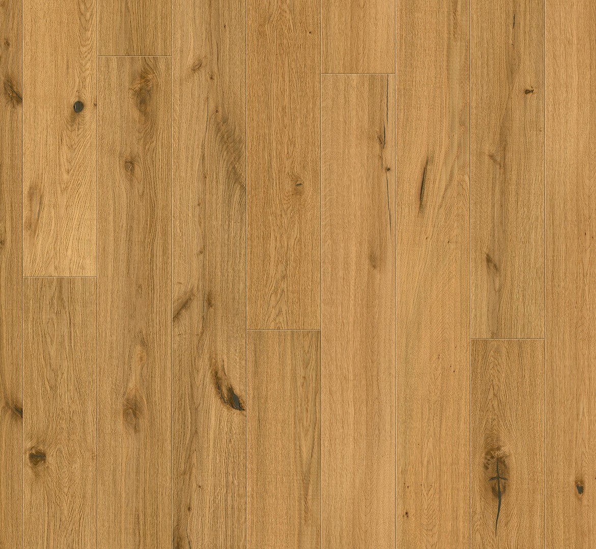 image_2025-10-23_175711156