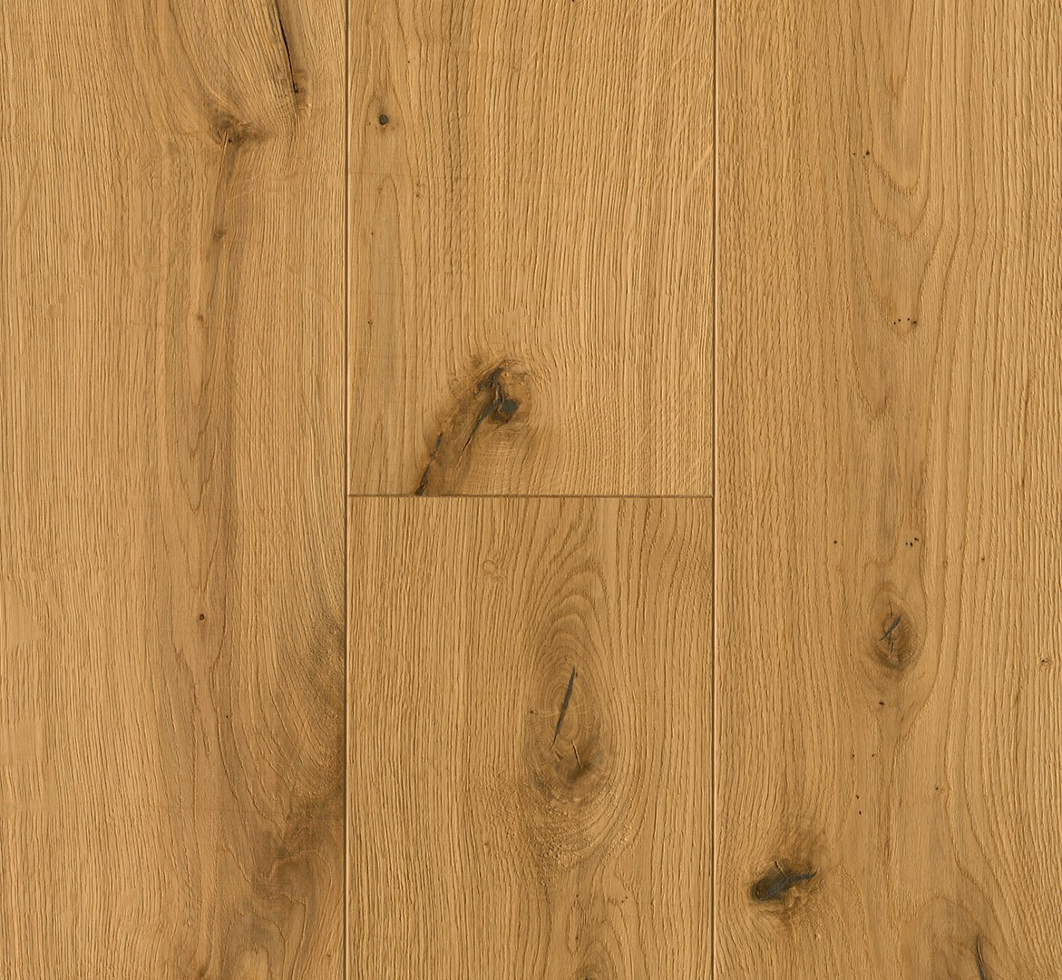 image_2025-10-23_175722538