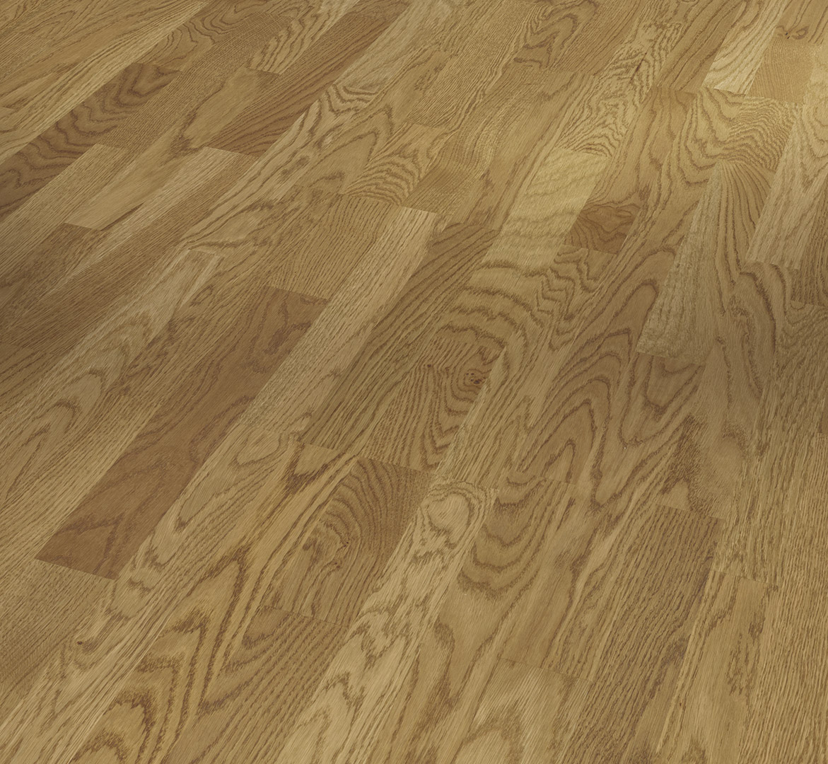 image_2025-10-23_181322772