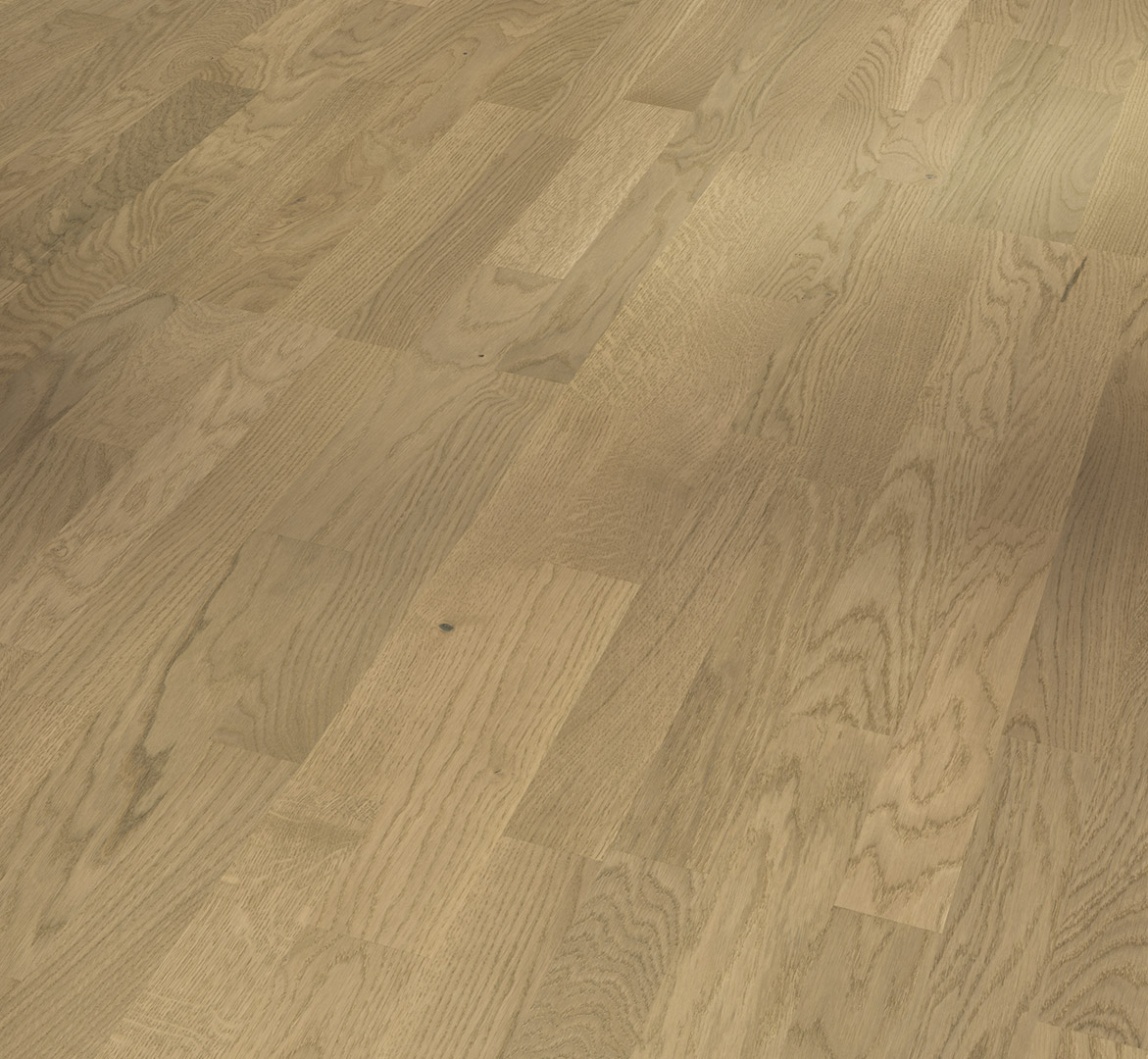 image_2025-10-23_182049365