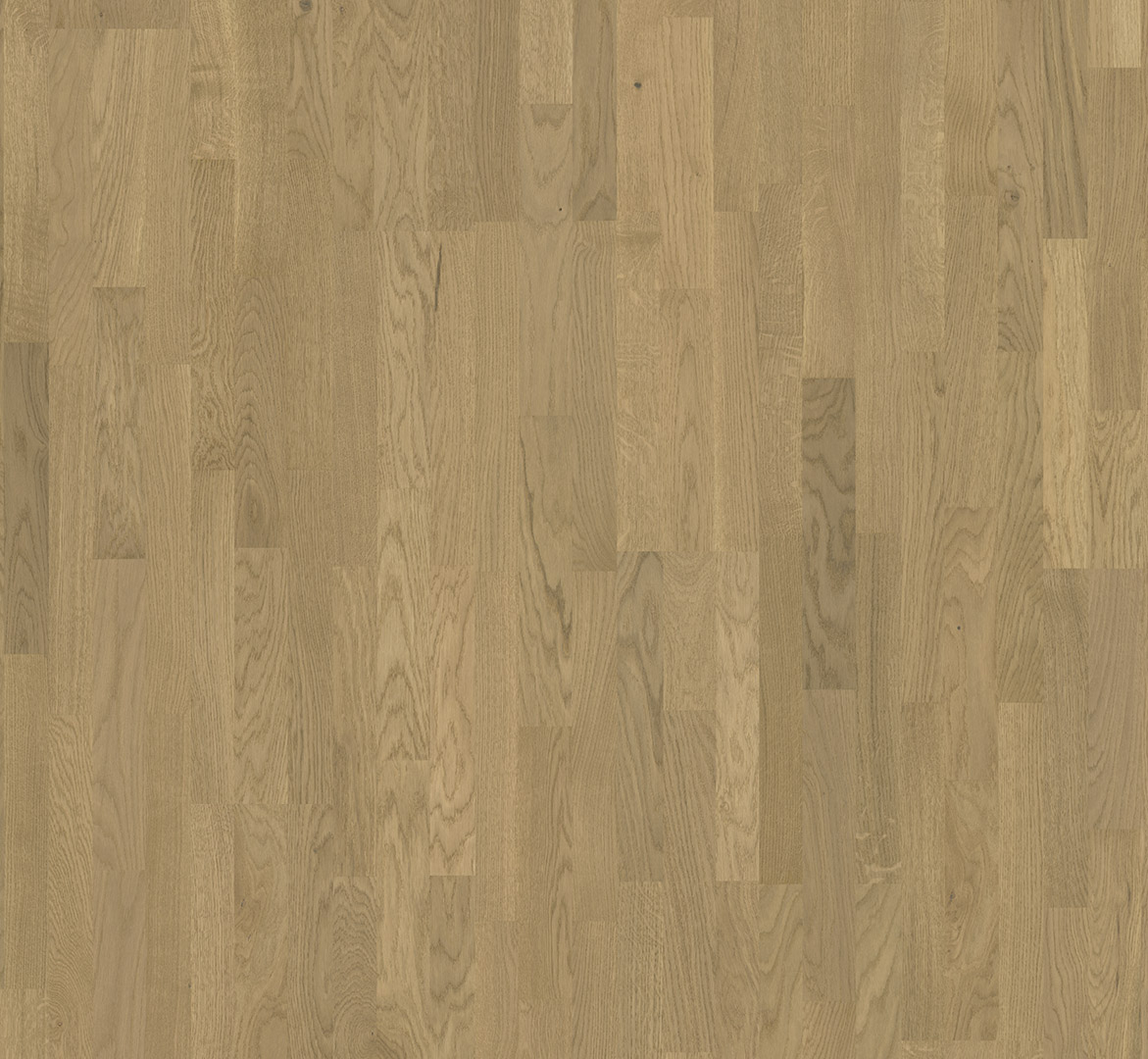 image_2025-10-23_182121196