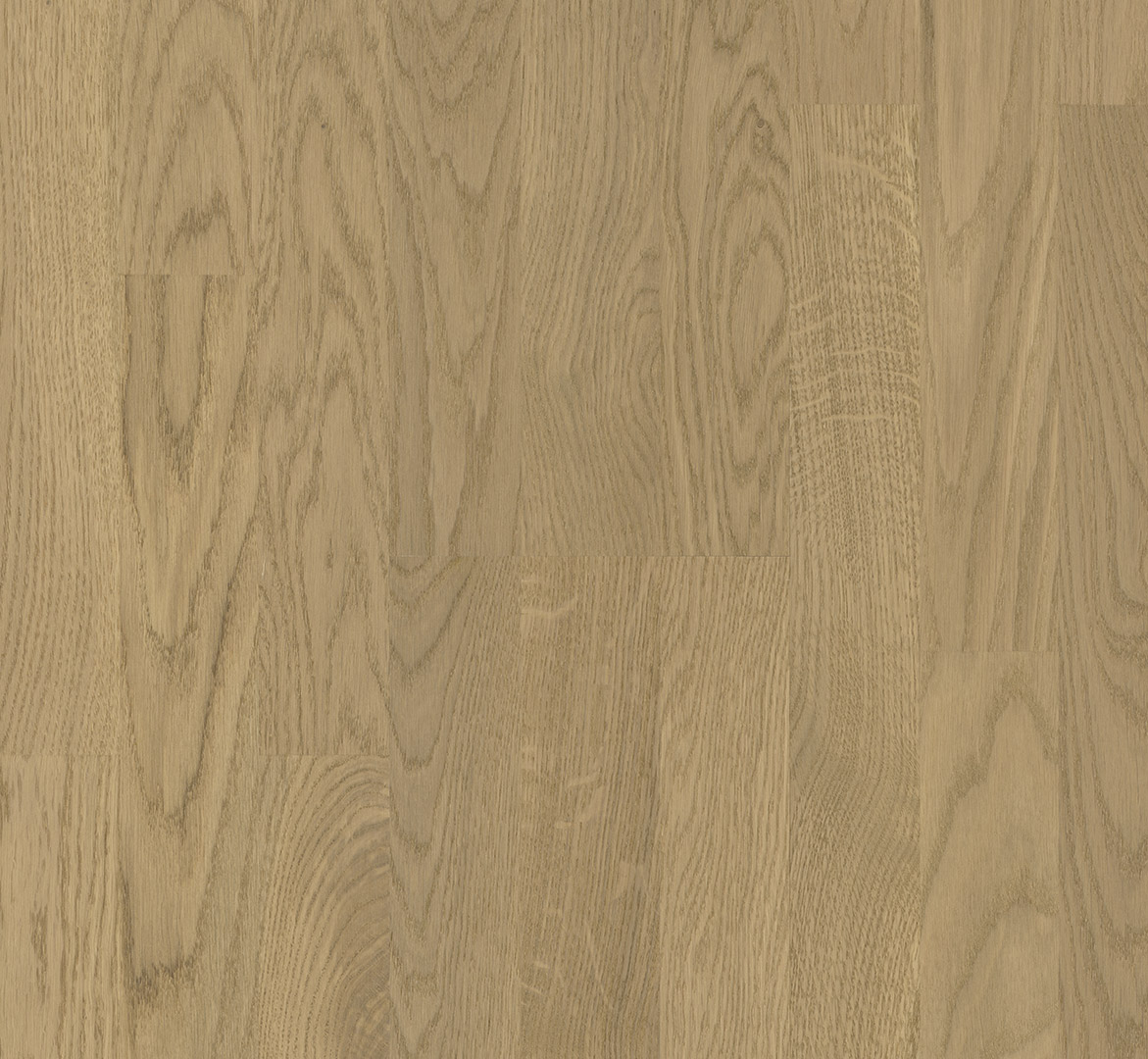 image_2025-10-23_182134085