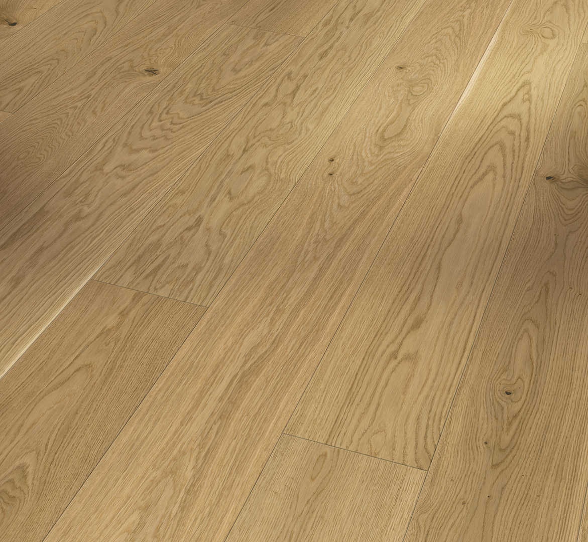 image_2025-10-23_183443419