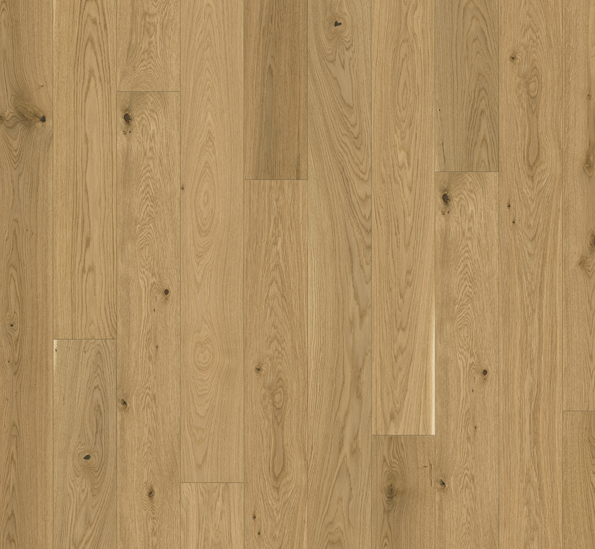 image_2025-10-23_183633935