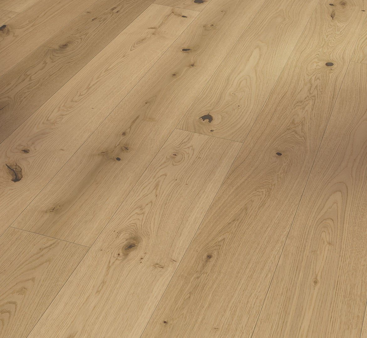 image_2025-10-23_185009095