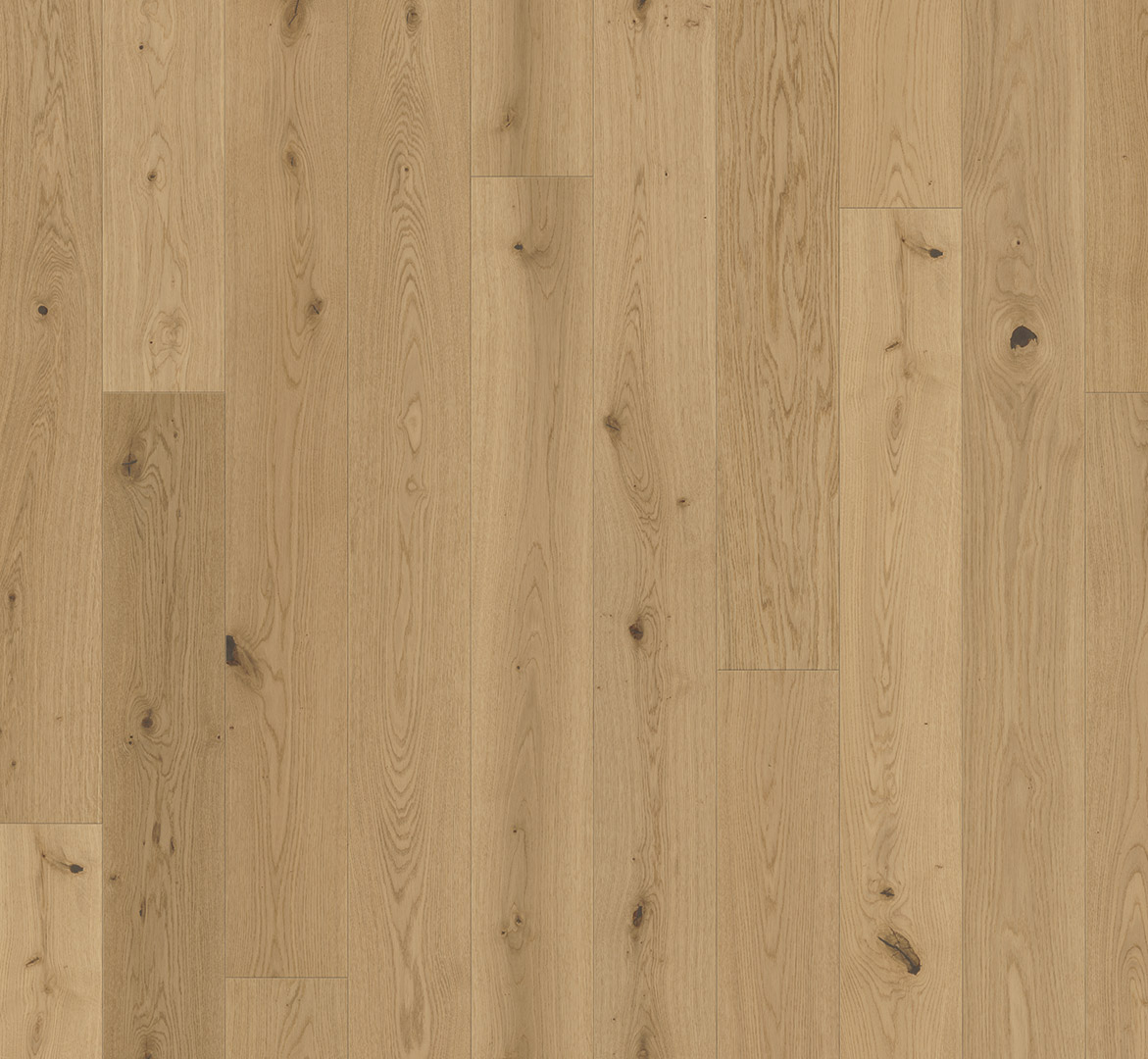 image_2025-10-23_185137011