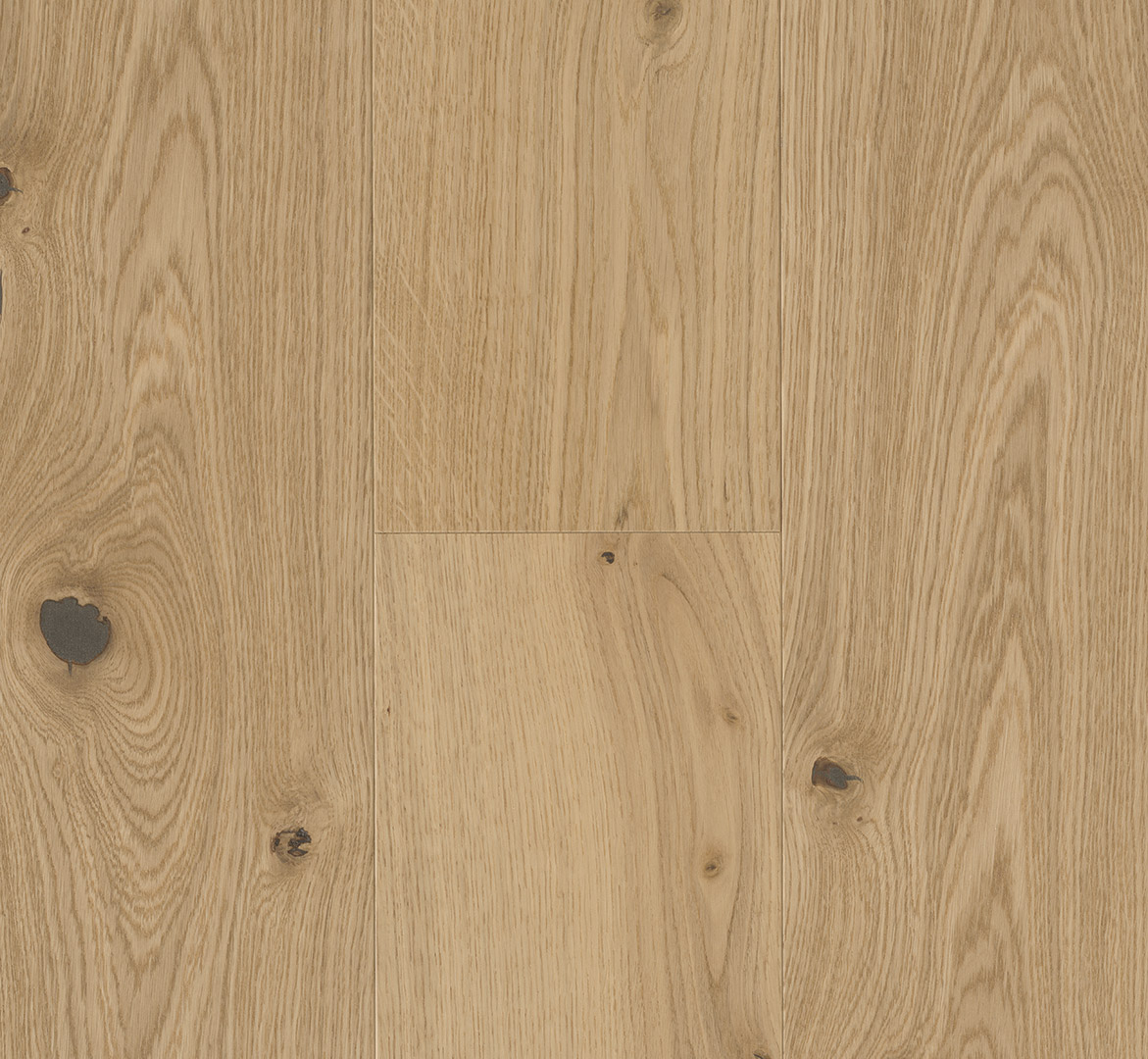 image_2025-10-23_185235786