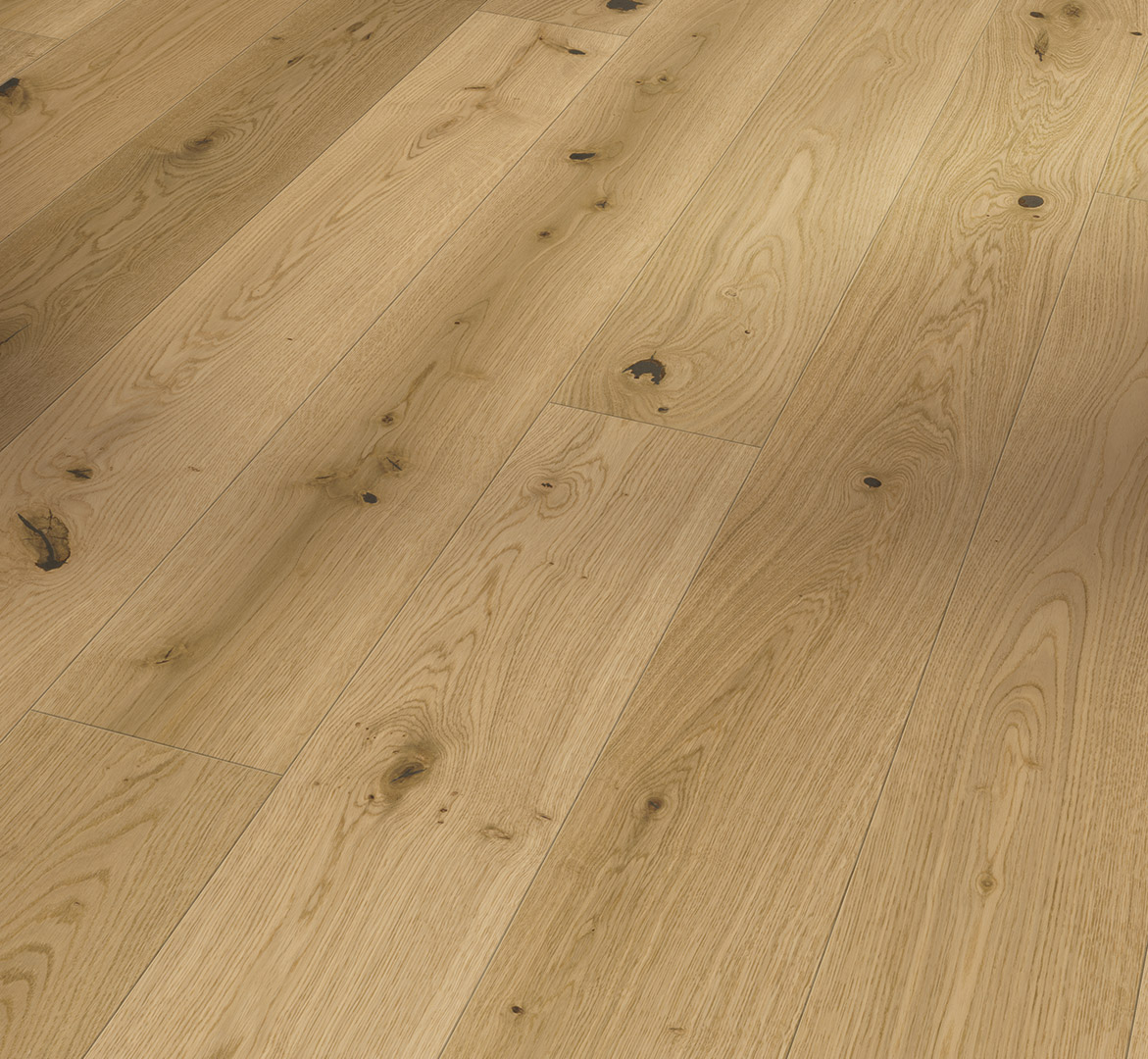 image_2025-10-23_185521138