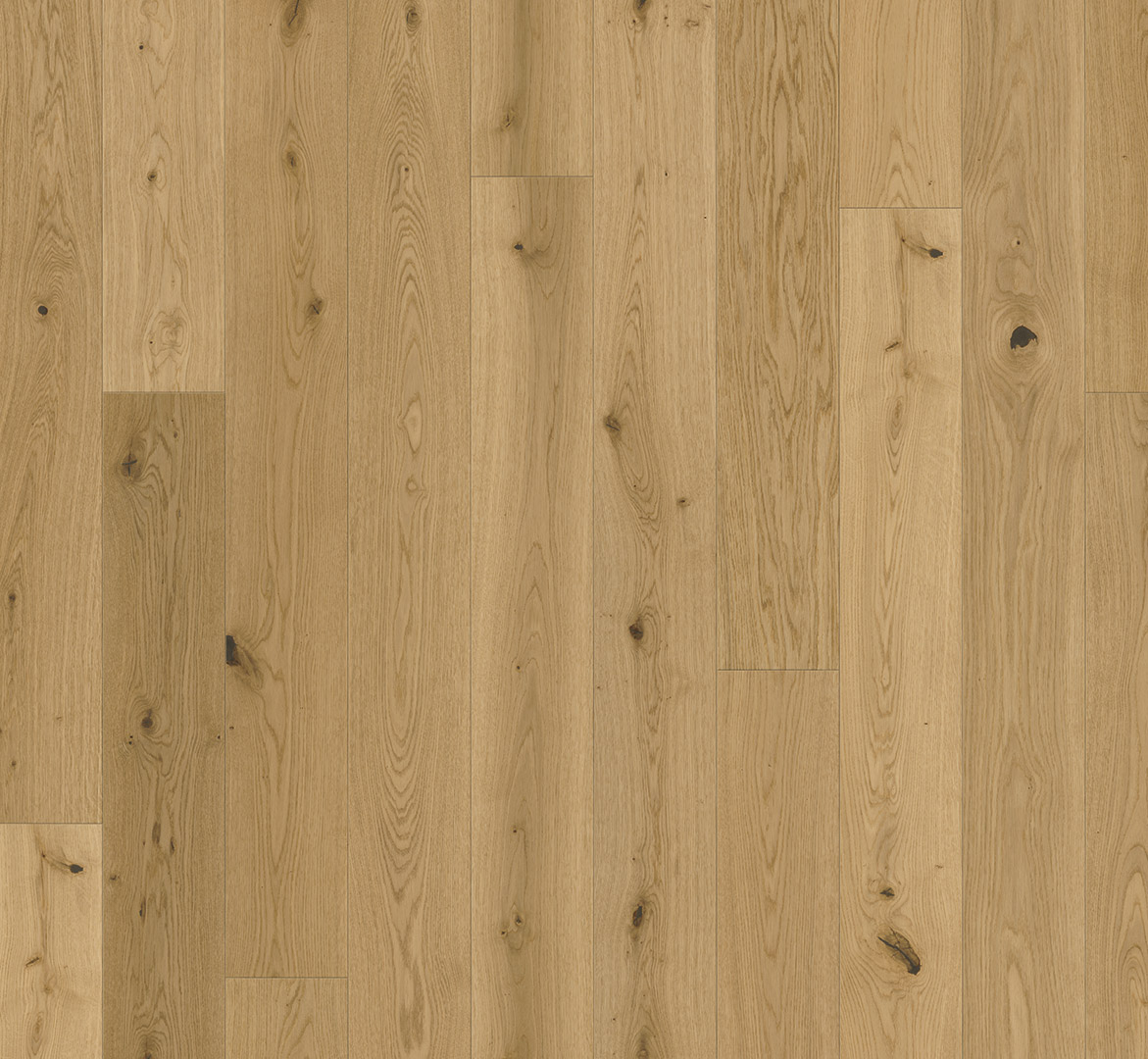 image_2025-10-23_185541659